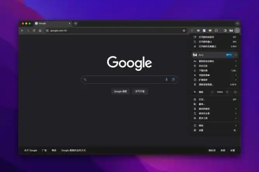 谷歌浏览器怎么关闭自动更新功能